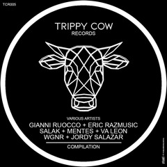 Gianni Ruocco, Va Leon - Good (Original Mix)