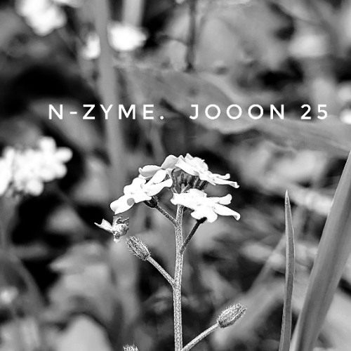 N-Zyme-JOOON 25 DnB