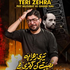 Teri Zehra (s.a) Pay Musibat Ki Ghari Hai  --  Ayam e Fatmiya (s.a)  --  Mir Hasan Mir  --  2024