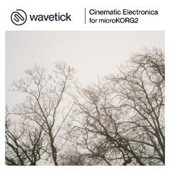 Cinematic Electronica Demo