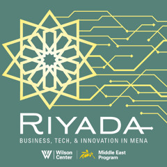 The Digital Double Bind” and Internet Development Pathways in MENA