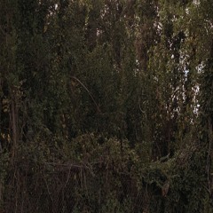 over the horizon / interlude