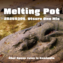 Melting Pot 20250305 techno mix