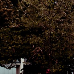 You Need To Hear Her Voice