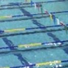 Swim with the Flow