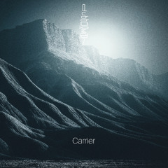 Carrier