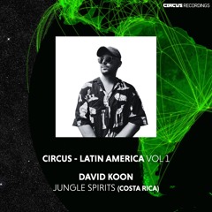 David Koon - Jungle Spirits
