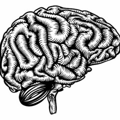 ZxTk_ Brain