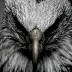 Psitrance !!! (Best Part + Looped)