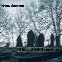 Through The Cemetery