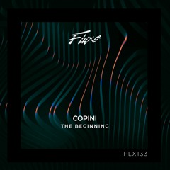 Copini - The Beginning