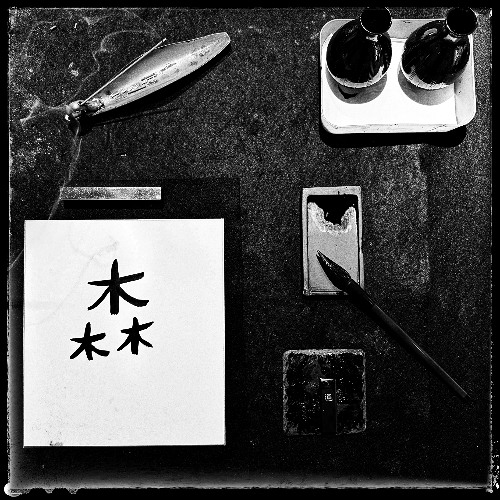 森の道 | Concepts Radio E.44 8.2.25