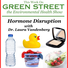 Hormone Disruption with Dr. Laura Vandenberg
