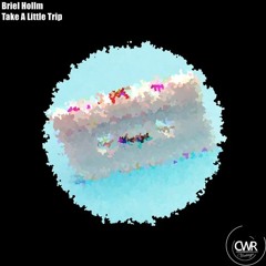 Briel Hollm - Take A Little Trip (Original Mix)