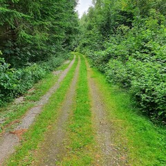 Amazing Trails