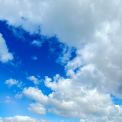 ekia - bank (nineslay)