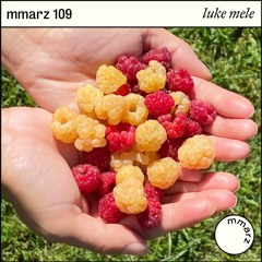 mmarz 109 | luke mele: callicoon comedown