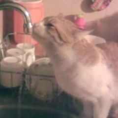 Pierdo las esperanzas a medida que los mesen pasan