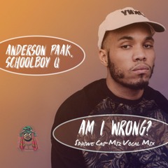 Anderson Paak, Schoolboy Q - Am I Wrong (Sphiwe Cas-Miz Vocal Mix)
