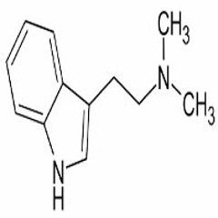Marschmukke