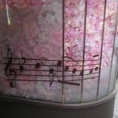 m#3lanch০l.y♡ prod 9lives