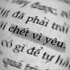 Chết vì yêu