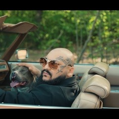 Dani Mocanu - Marș