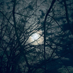 9TAILS - come down (cover/remix)(dash)