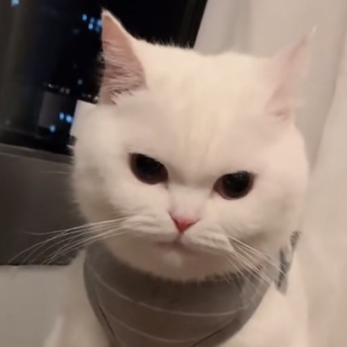 DJ EDAMAME JAYJAX X SIKOK BAGI DOU X GAM GAM TEKI TEKI SOUND SNOWSKY MENGKANE