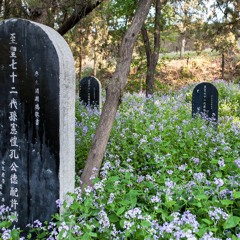 Hansel (A whole garden of flowers part)
