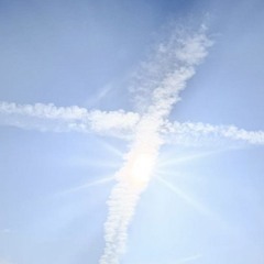 FOODMAN w/ IKKE 050125