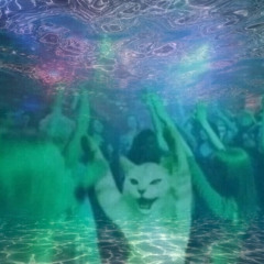 New Balaná Phonk// Happy Vibes (Filter Vrs)