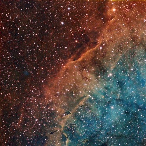 REselects 162 - Lurker