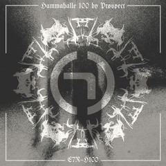 HAMMAHALLE 100 By PRØSPECT
