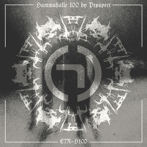 HAMMAHALLE 100 By PRØSPECT