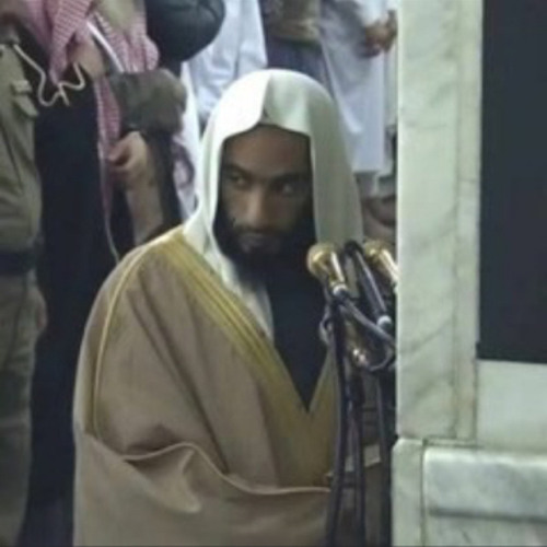 سورة الإنسان الشيخ أحمد بن طالب 1428هـ