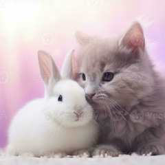 flowers everywhere (prod ʚ 6yxd! ʚ)