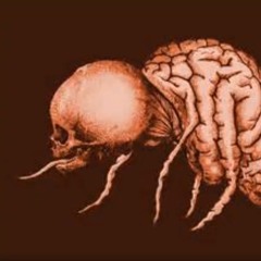 Area 23 - Virus Mortel