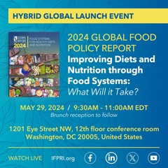 2024 Global Food Policy Report