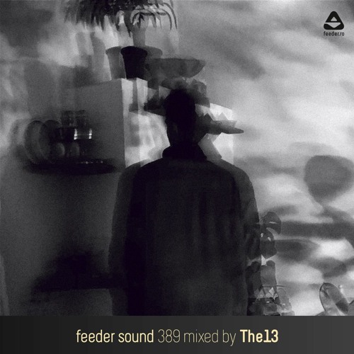 feeder sound 389 mixed by The13