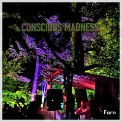 Farn @ Conscious Madness 2023 - Küstenrausch
