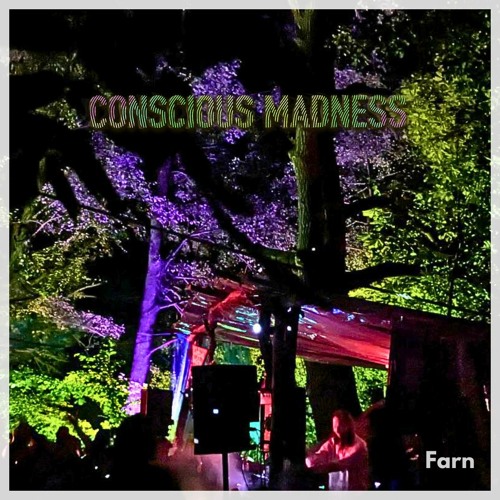 Farn @ Conscious Madness 2023 - Küstenrausch