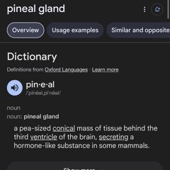 PiiiNEALGLANDFREESTYLE