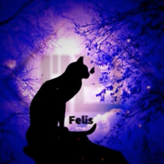M2U - Felis