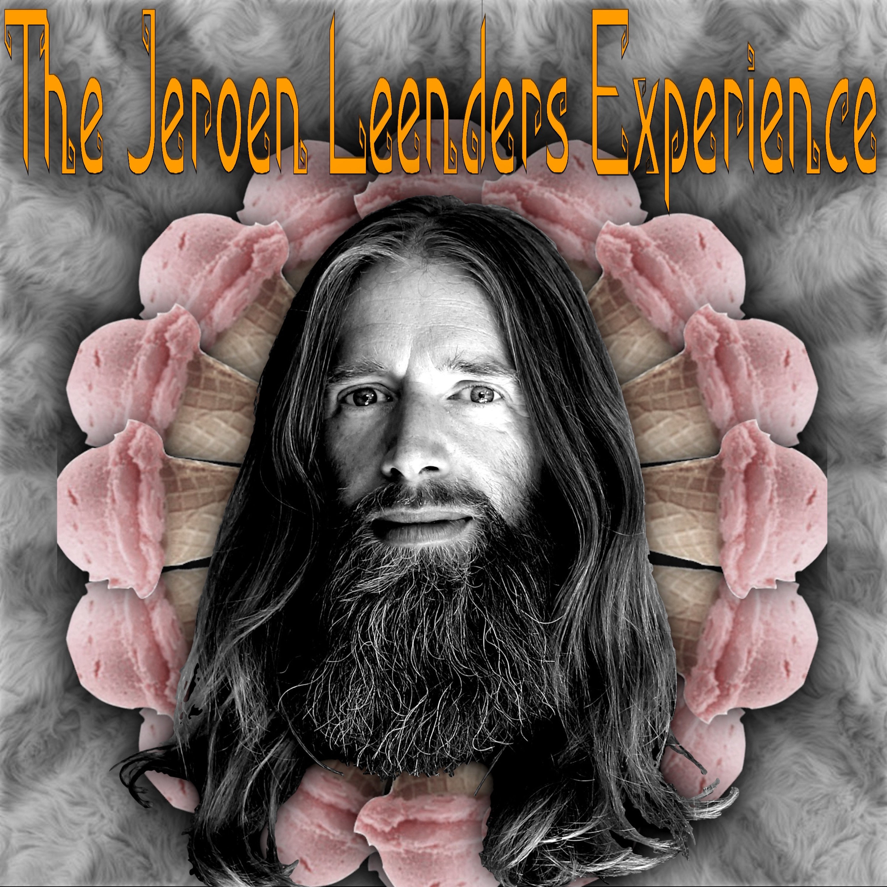 Jeroen Leenders Experience