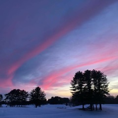 News Spot on Portland Maine's New Tech Institute