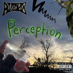 Perception (prod. flesh x rian kelly)