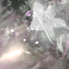 wither (twintails + glossalia)