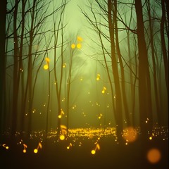 CANZONI DEL BOSCO - LE LUCCIOLE CANTANO  - RELEASE - Miaplacidus