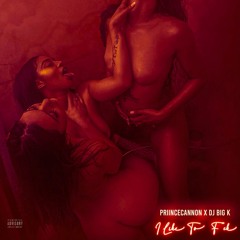 I Like To Fu**(2k24) - PriinceCannon Ft DJ BIG K